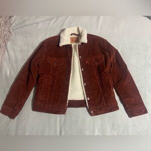 Levi's Women's Rust Corduroy Bomber Jacket with Sherpa Lining